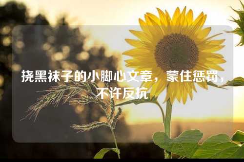 挠黑袜子的小脚心文章，蒙住惩罚，不许反抗