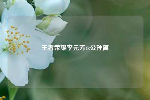 王者荣耀李元芳tk公孙离