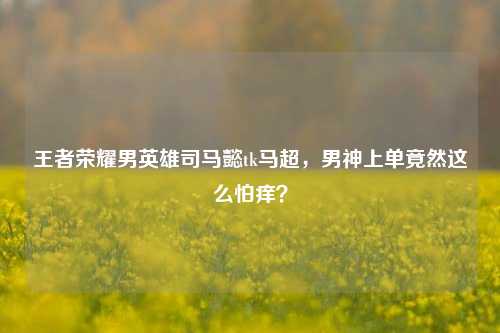 王者荣耀男英雄司马懿tk马超，男神上单竟然这么怕痒？